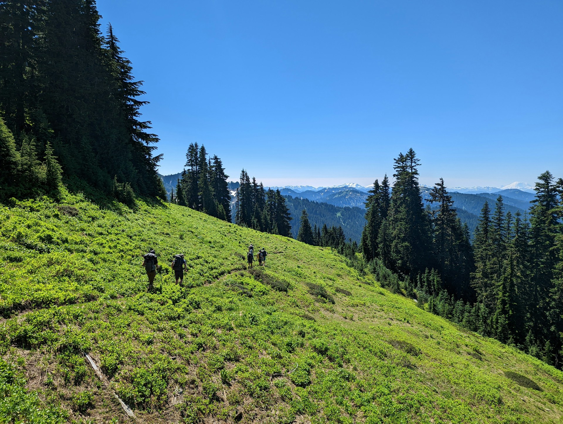Hiking Trails