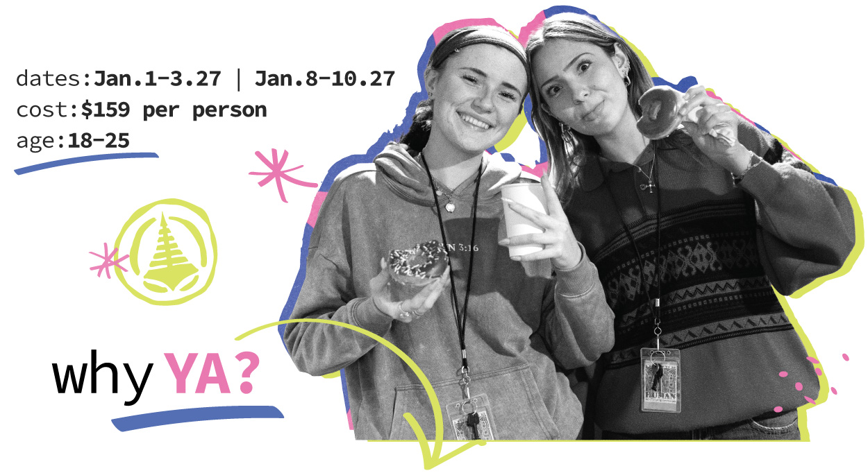 YA Web WhyYA